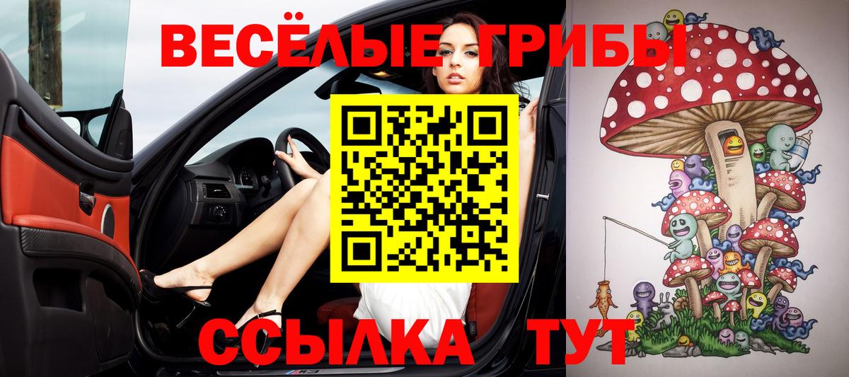 Псилоцибиновые грибы Psilocybe Черкесск