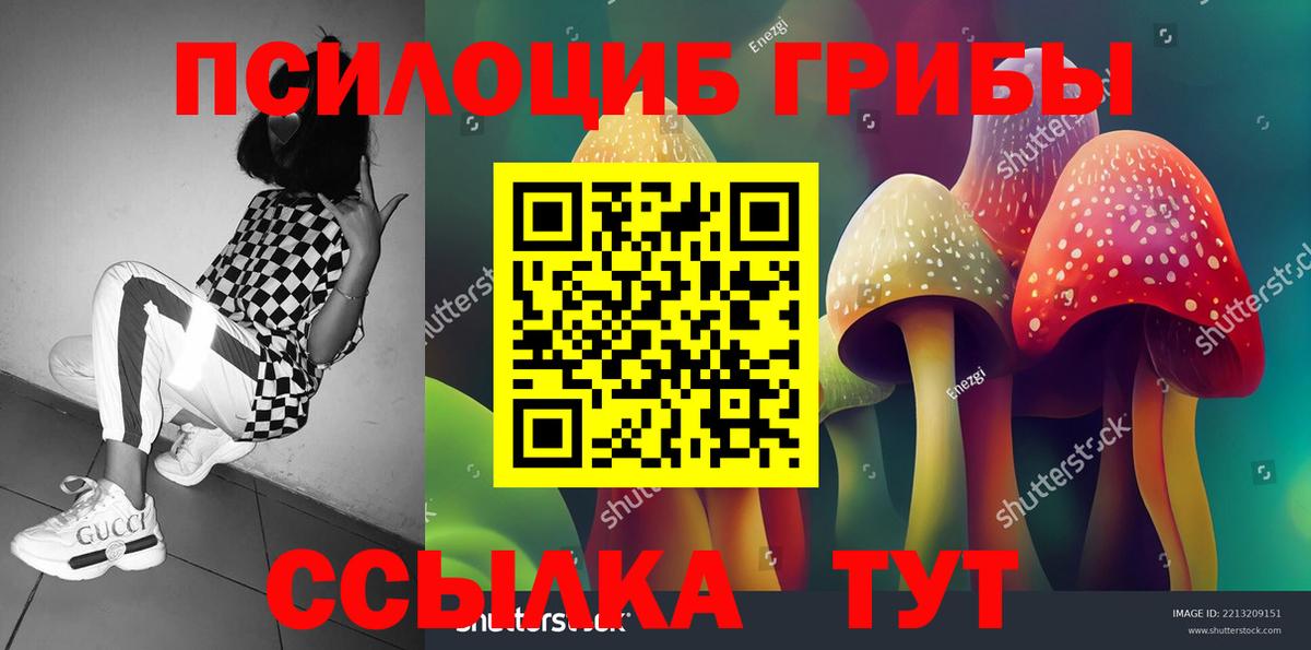 Галлюциногенные грибы ЛСД  Вход с VPN  Черкесск  Псилоцибиновые грибы Psilocybe 